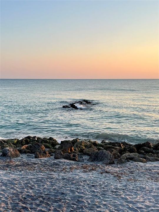 Caspersen Beach sunset