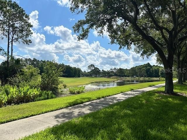 Golf Course View