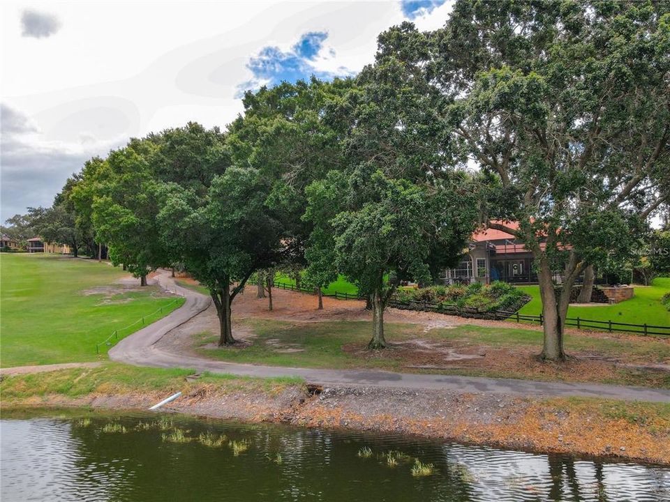 View of Property from Pond