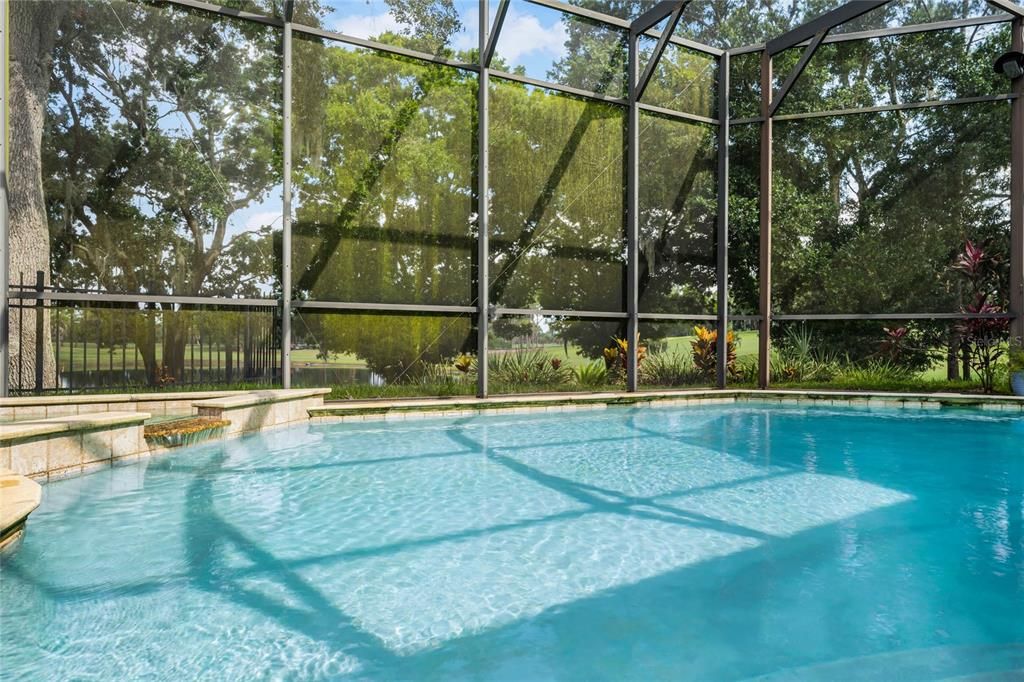 Pool View of Landscape