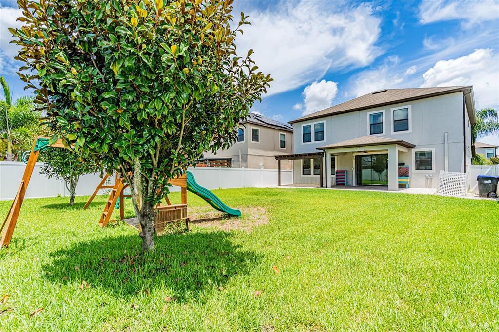 beautiful oversized backyard