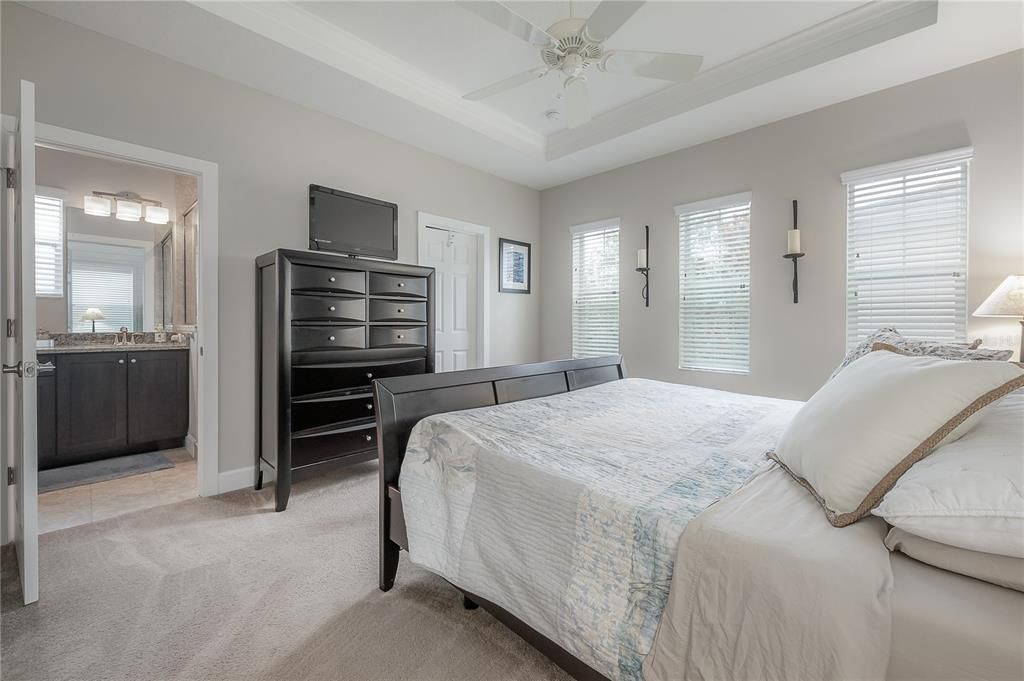 Tray ceiling with crown molding, whisper silent fan