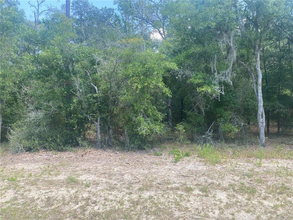 For Sale: $38,000 (1.25 acres)