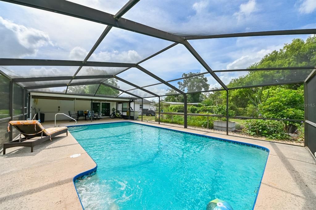 Huge Salt Water Pool