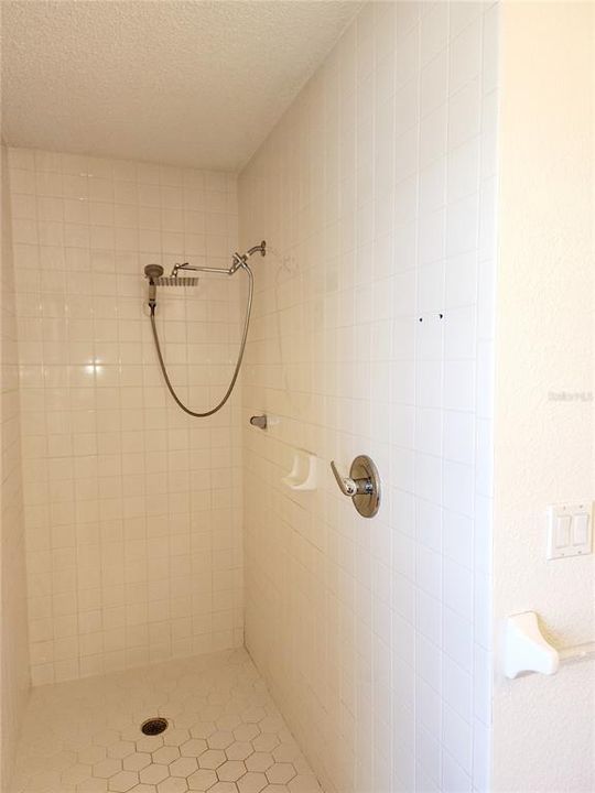 Walk-in Shower, primary bathroom