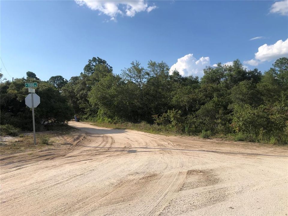 View from Todd to Rehner Rd. The lot is on the right side, about 100 feet from the corner.