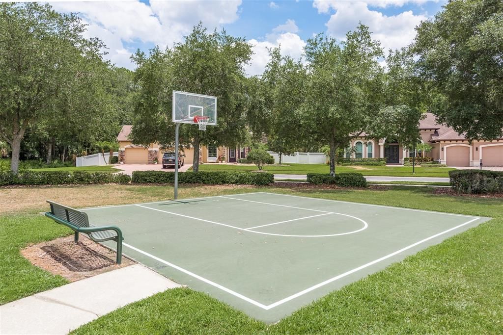 Basketball Court across the street