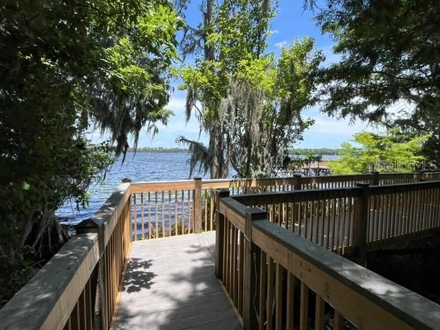 Boardwalk Path to Dock