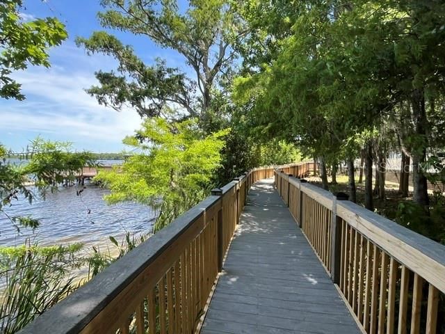 Boardwalk along the lake