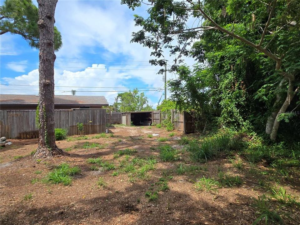 looking from back of lot towards house