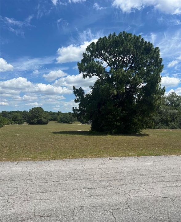 Active With Contract: $42,000 (1.17 acres)