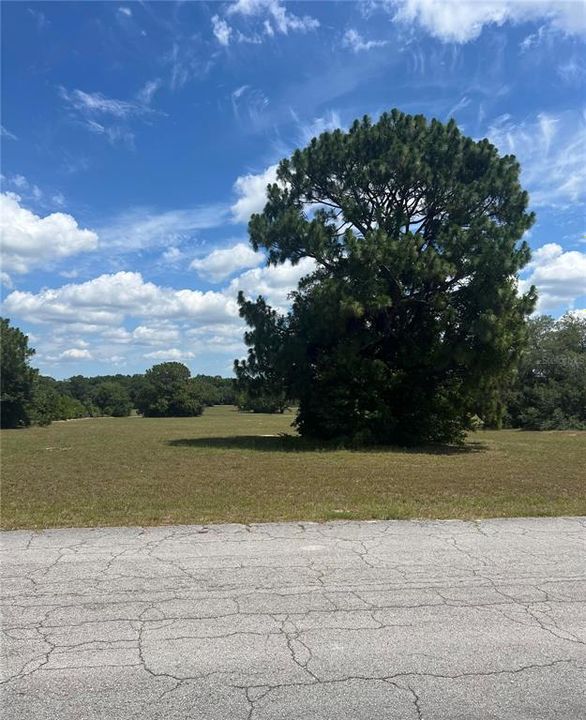 Active With Contract: $42,000 (1.17 acres)