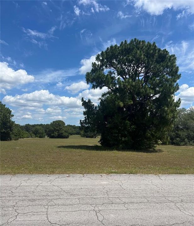 Active With Contract: $42,000 (1.17 acres)