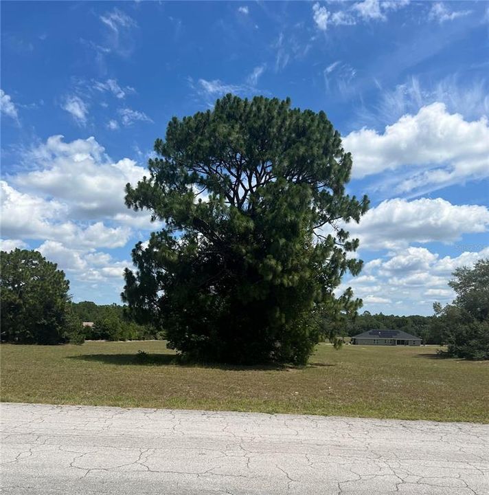 Active With Contract: $42,000 (1.17 acres)