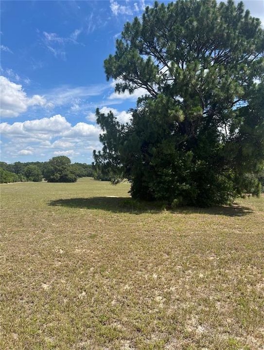 Active With Contract: $42,000 (1.17 acres)