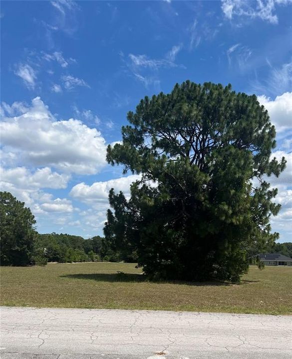 Active With Contract: $42,000 (1.17 acres)