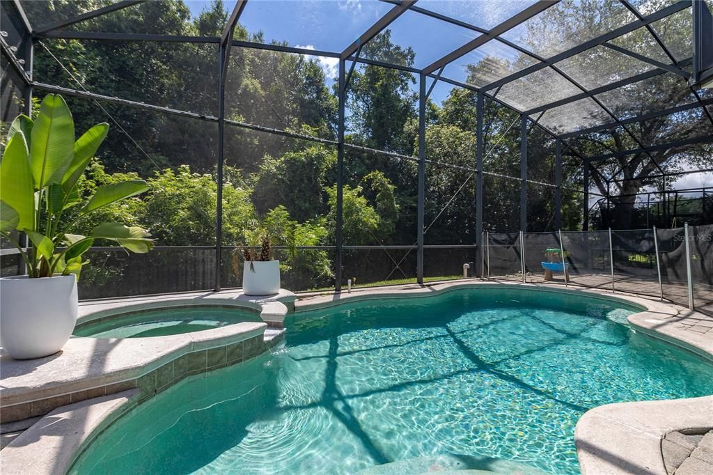 Jacuzzi and Swimming Pool