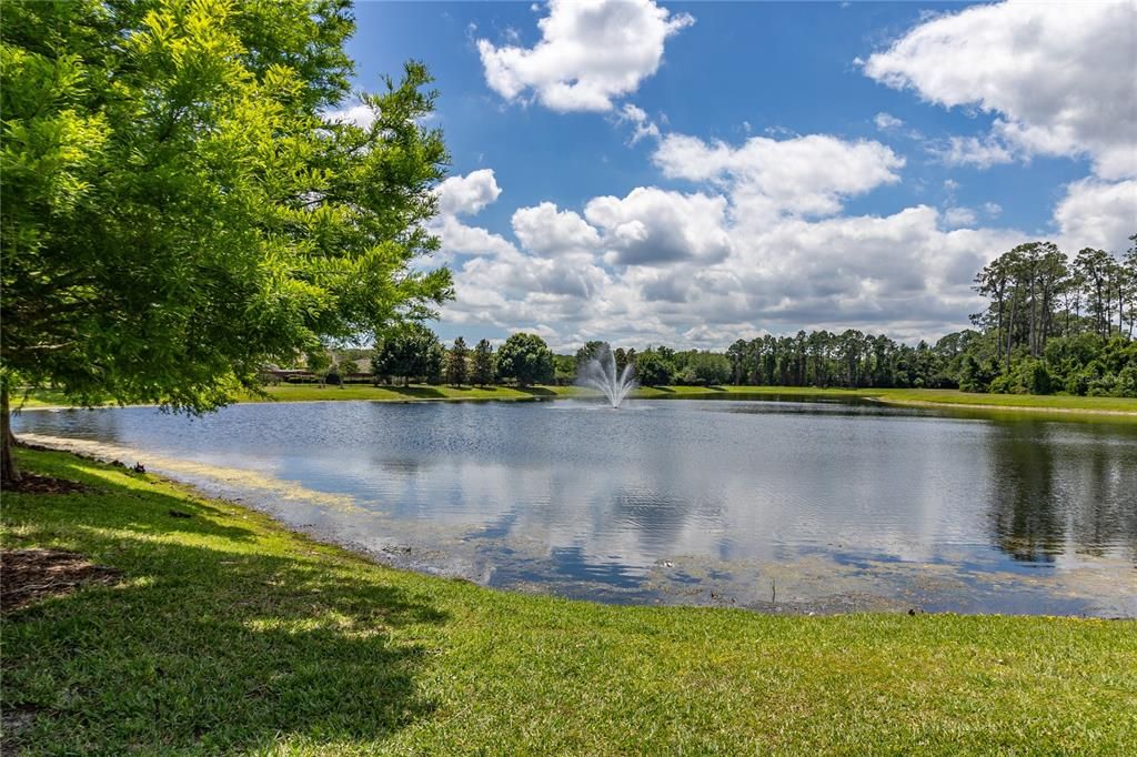 Community Pond