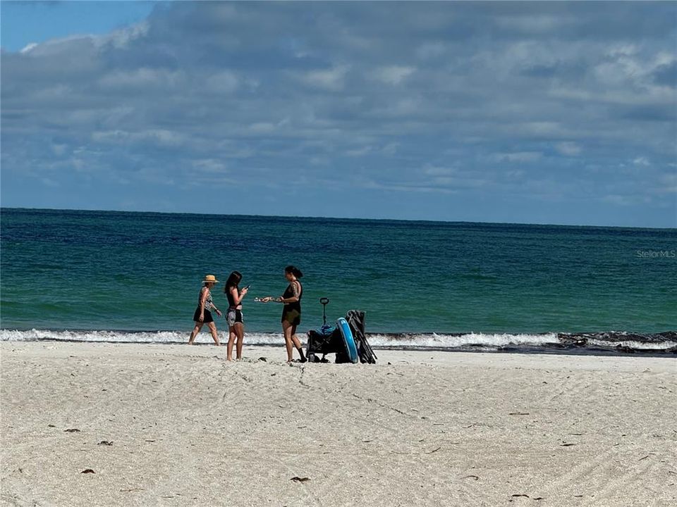 Sand Key Beach