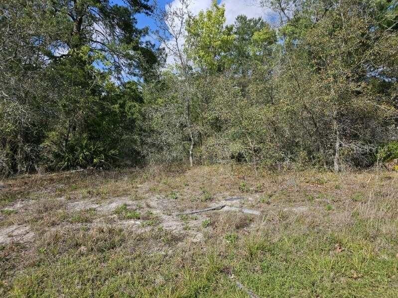 На продажу: $50,000 (0.46 acres)