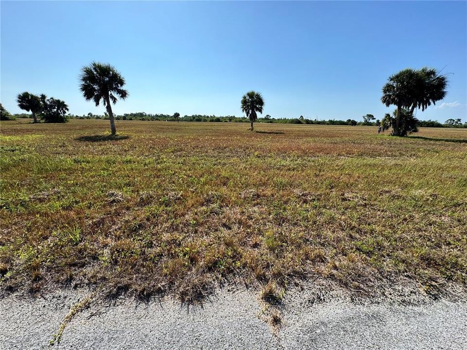 For Sale: $19,900 (0.17 acres)