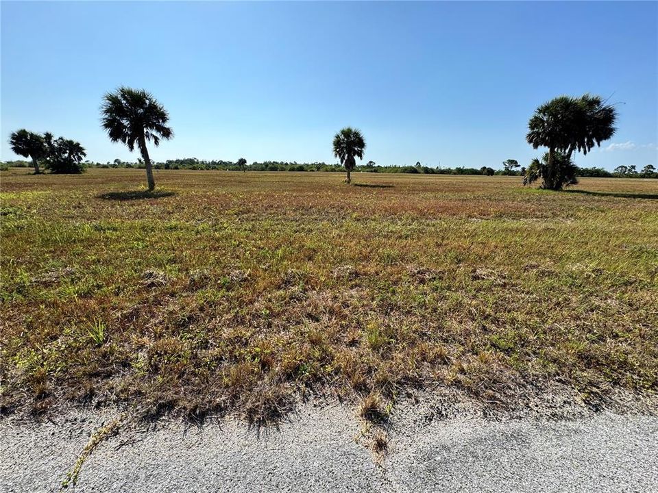 For Sale: $19,900 (0.17 acres)