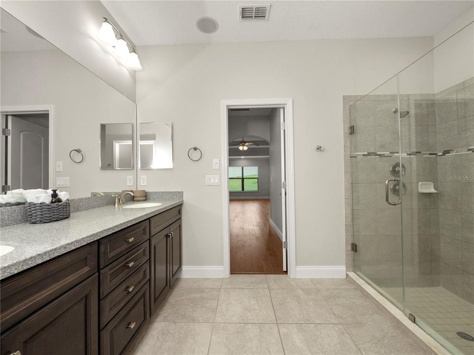 Master Bath Tub and Shower