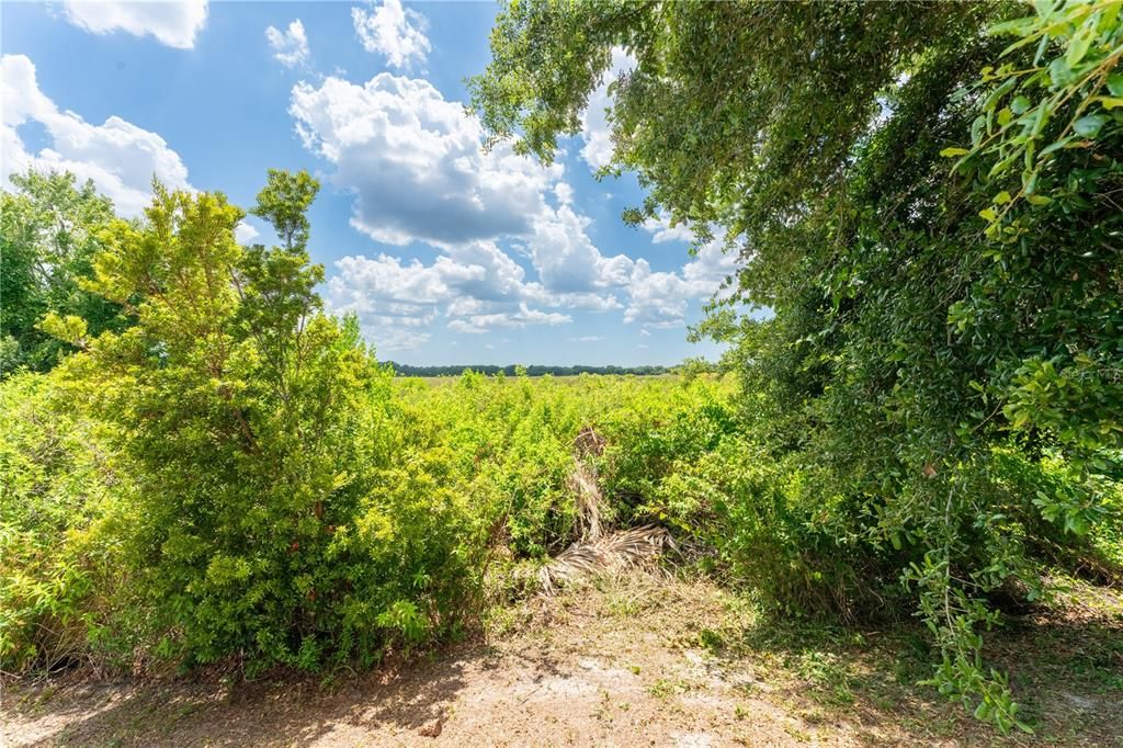 Active With Contract: $250,000 (5.05 acres)