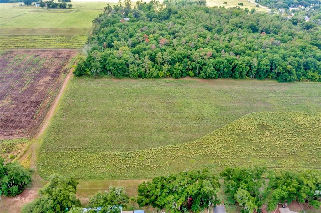 На продажу: $1,350,000 (10.31 acres)