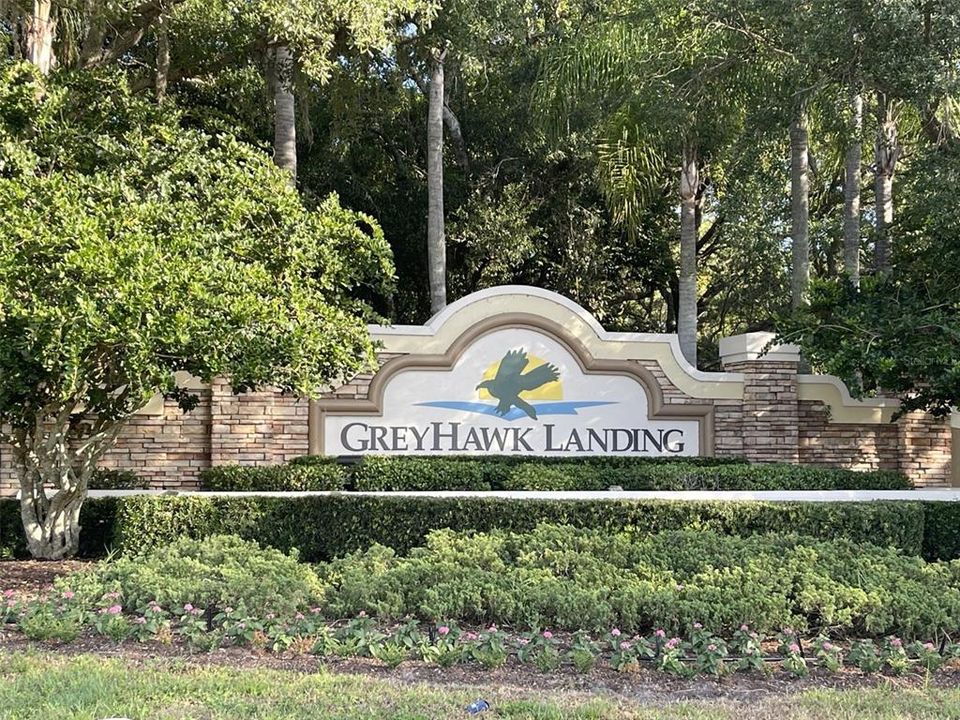 Welcome to the Greyhawk Community!