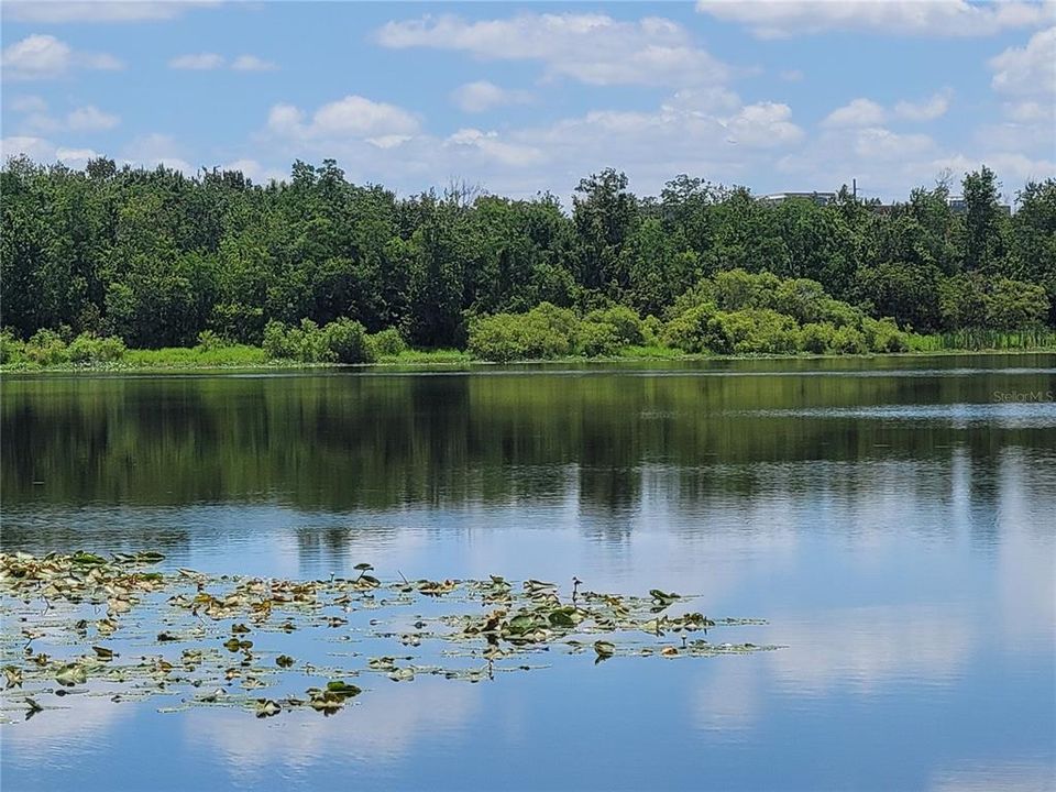 Lake Lotus