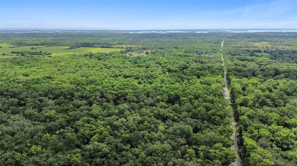 For Sale: $320,000 (5.39 acres)