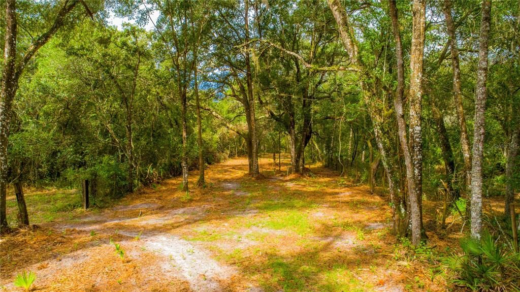 Active With Contract: $299,000 (12.30 acres)