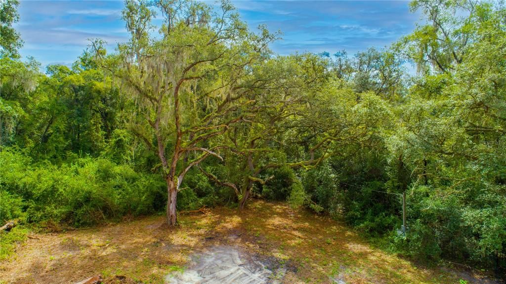 Active With Contract: $299,000 (12.30 acres)