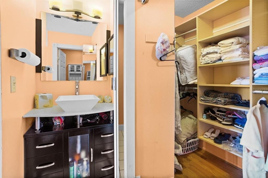 Master bathroom with walk-in closet