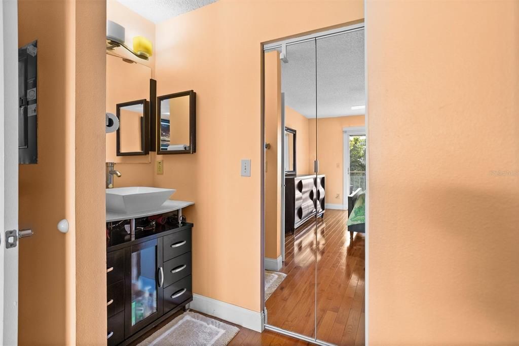 Master bathroom with walk-in closet