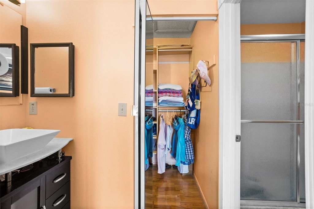 Master bathroom with walk-in closet