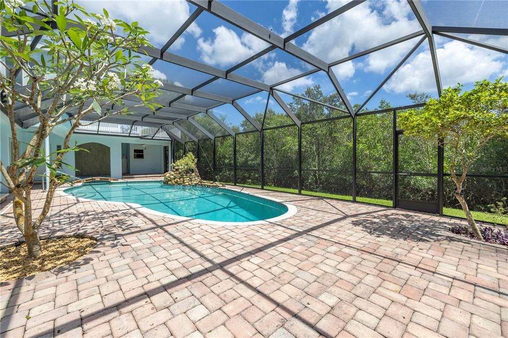 Pool patio area