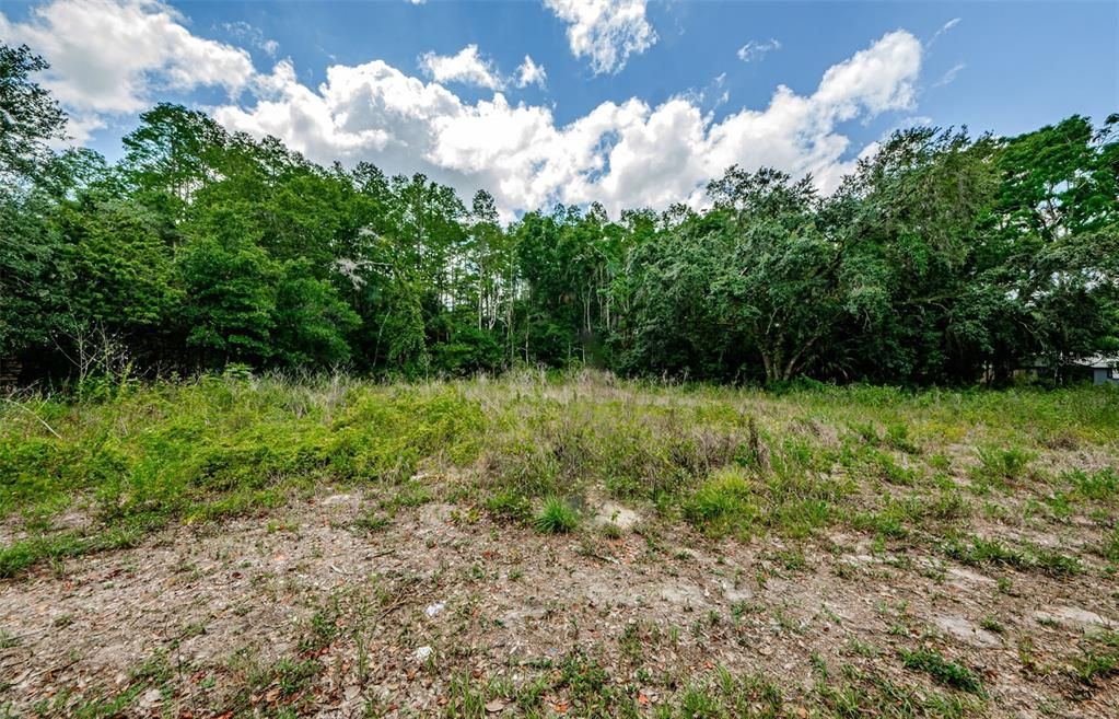 For Sale: $174,900 (1.55 acres)