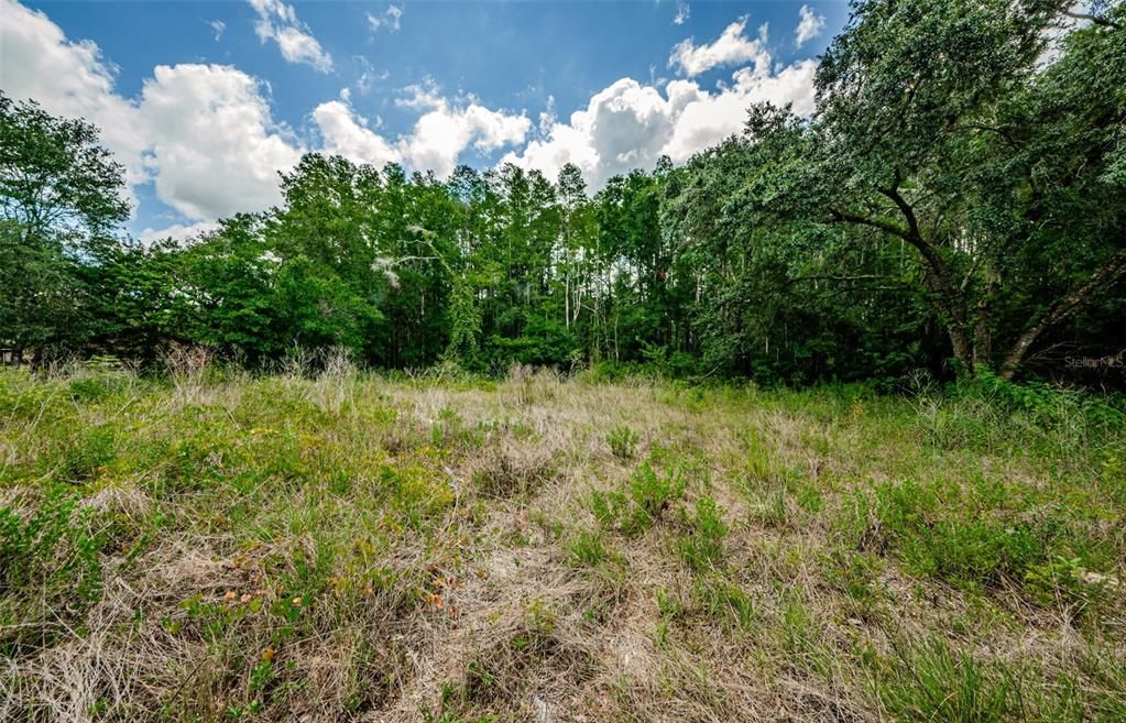 For Sale: $174,900 (1.55 acres)