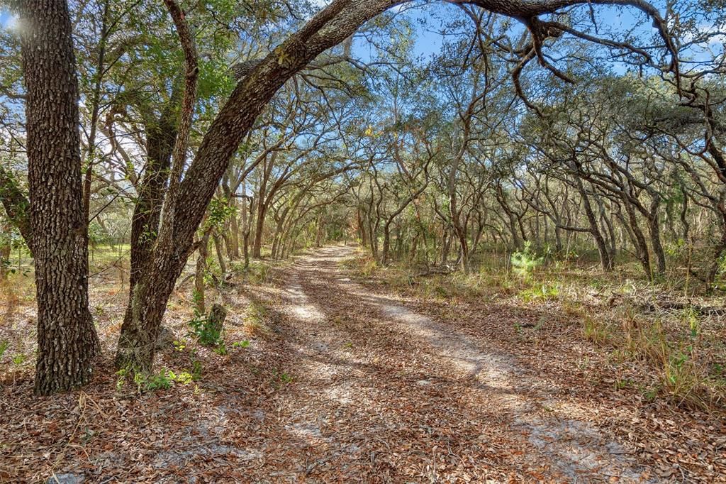 For Sale: $2,325,000 (40.00 acres)