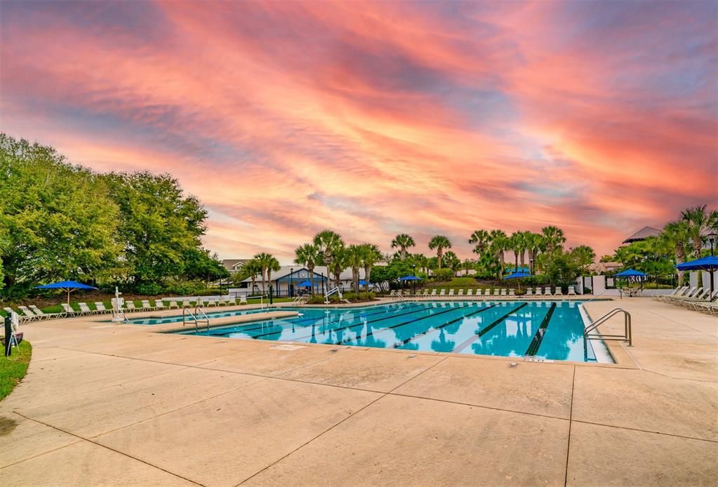 lap pool and volley ball pool