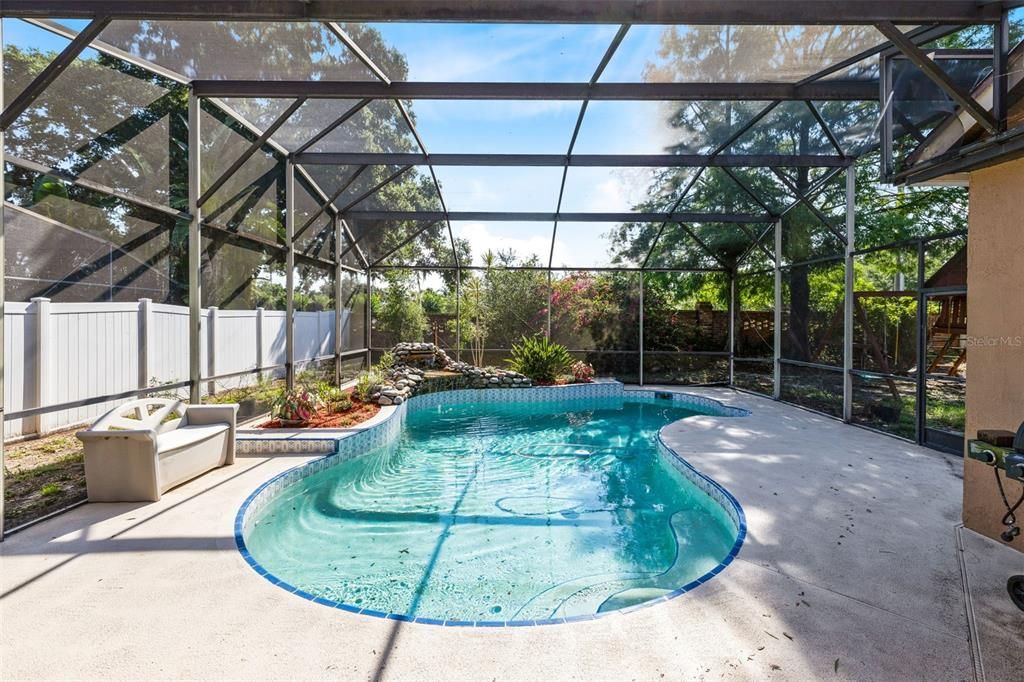 Pool and Backyard