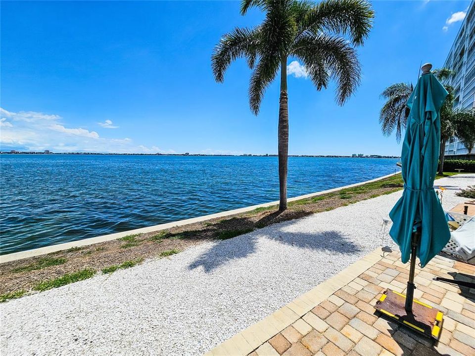 View From Patio Area.