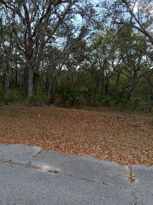 For Sale: $54,990 (0.26 acres)