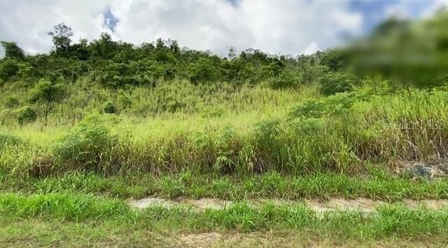 En Venta: $417,100 (41.71 acres)