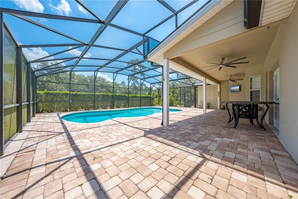 Back porch and Pool View