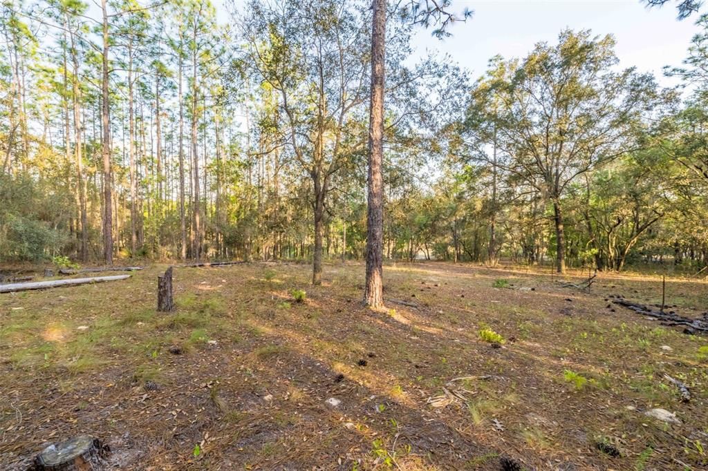 На продажу: $93,500 (3.54 acres)