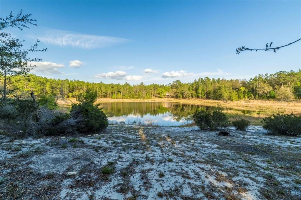 На продажу: $93,500 (3.54 acres)