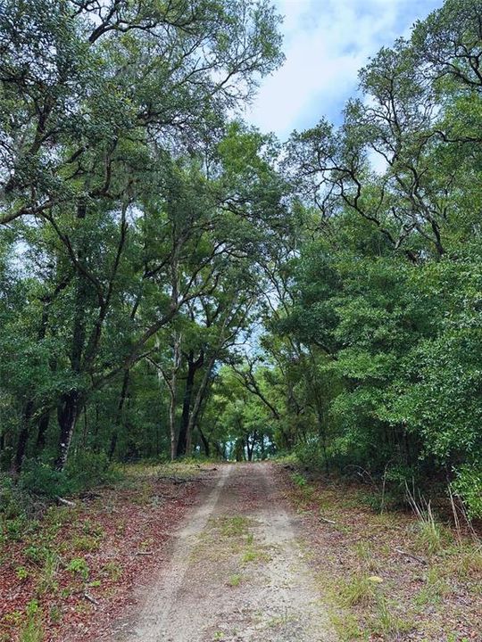 Active With Contract: $85,000 (2.11 acres)